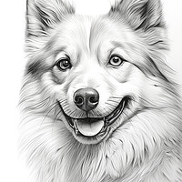 Buy canvas prints of Finnish Spitz Pencil Drawing by K9 Art