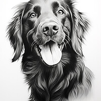 Buy canvas prints of Flat Coated Retriever Pencil Drawing by K9 Art