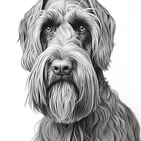 Buy canvas prints of Giant Schnauzer Pencil Drawing by K9 Art