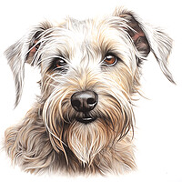 Buy canvas prints of Glen Of Imaal Terrier Pencil Drawing by K9 Art