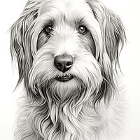 Buy canvas prints of Grand Basset Griffon Venden Pencil Drawing by K9 Art