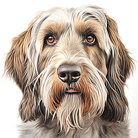 Buy canvas prints of Grand Basset Griffon Venden Pencil Drawing by K9 Art