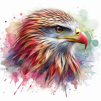 Red Kite Portrait