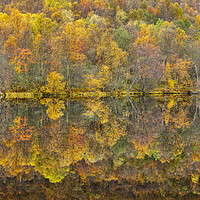 Buy canvas prints of Autumn reflections by Robert Canis