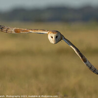 Buy canvas prints of Barn Owl Fly By  by Janet Marsh  Photography