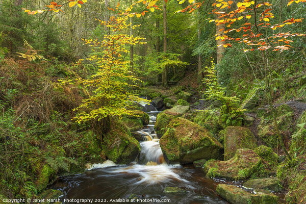 Fairy Tale- Wyming Brook Picture Board by Janet Marsh  Photography
