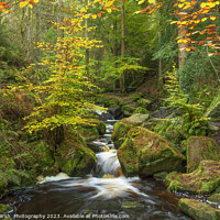 Buy canvas prints of Fairy Tale- Wyming Brook by Janet Marsh  Photography