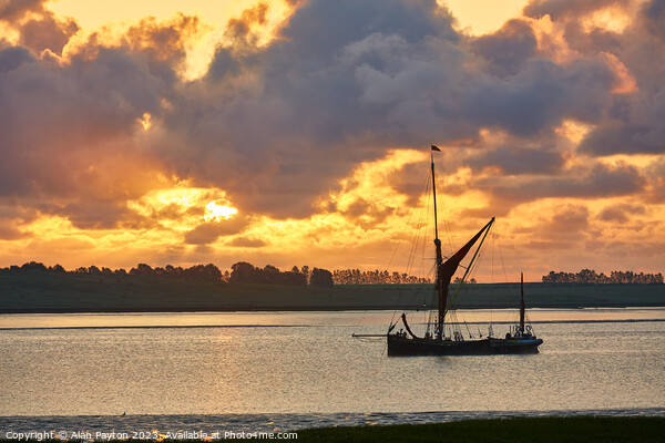 Thames barge at sunrise Picture Board by Alan Payton