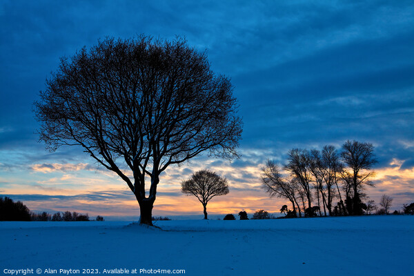 Cold winter sunset at Luddenham, Kent Picture Board by Alan Payton