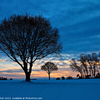 Buy canvas prints of Cold winter sunset at Luddenham, Kent by Alan Payton