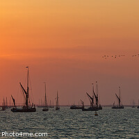 Buy canvas prints of Swale estuary barges and Yawls at sunset by Alan Payton
