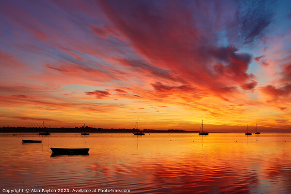 Vivid sunrise on Swale Estuary 1 Picture Board by Alan Payton