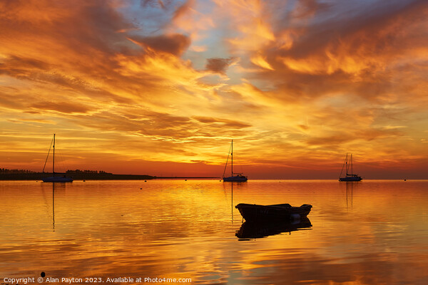 Vivid sunrise on Swale Estuary 3 Picture Board by Alan Payton