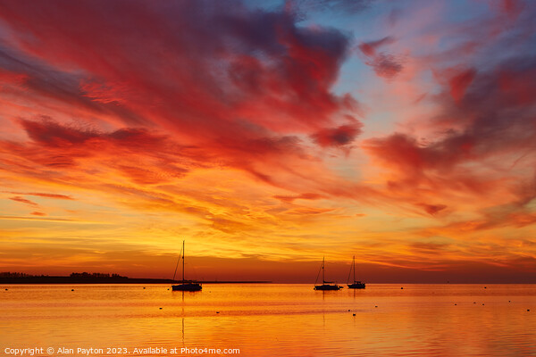 Vivid sunrise on Swale Estuary 4 Picture Board by Alan Payton
