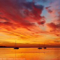Buy canvas prints of Vivid sunrise on Swale Estuary 4 by Alan Payton