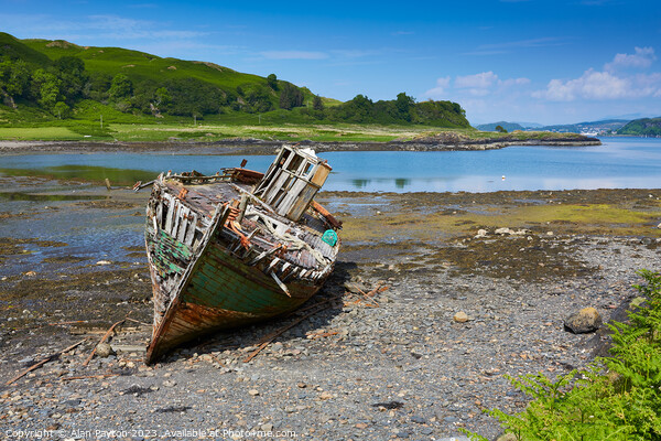 Fishing boat Wreck, Isle of Kerrera 2 Picture Board by Alan Payton