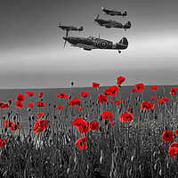 Buy canvas prints of Flypast by Airborne Images