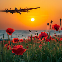 Buy canvas prints of At The Going Down Of The Sun by Airborne Images