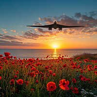 Buy canvas prints of Dawn Return by Airborne Images