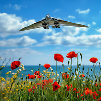 Buy canvas prints of The Vulcan Poppy Field by Airborne Images
