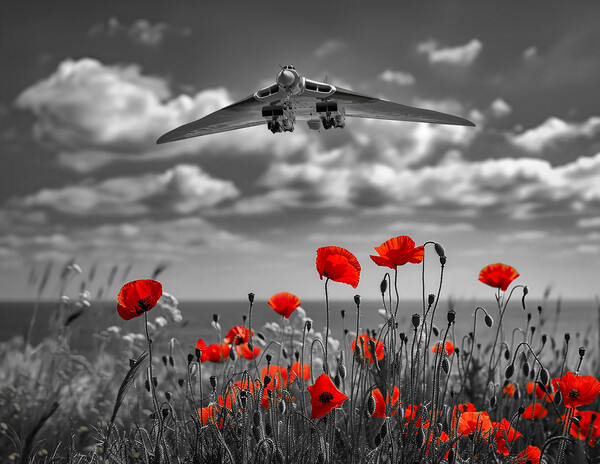 The Vulcan Poppy Field Picture Board by Airborne Images