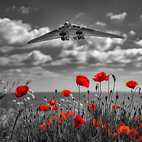 Buy canvas prints of The Vulcan Poppy Field by Airborne Images