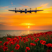 Buy canvas prints of Soon Be Home by Airborne Images