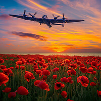 Buy canvas prints of Lancaster Remembers by Airborne Images