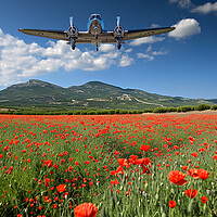Buy canvas prints of Douglas DC-3 Dakota Remembers by Airborne Images