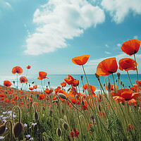 Buy canvas prints of Poppy Field by Airborne Images