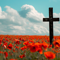 Buy canvas prints of Poppy Field by Airborne Images