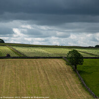 Buy canvas prints of Moody English Countryside by Helena Thompson