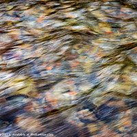 Buy canvas prints of Stream by Phil Lane
