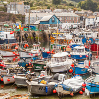 Buy canvas prints of Mevagissy Harbour by Phil Lane