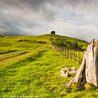 Buy canvas prints of On Furrow Hill by Phil Lane