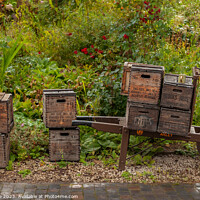 Buy canvas prints of Handcart and Crates by Phil Lane