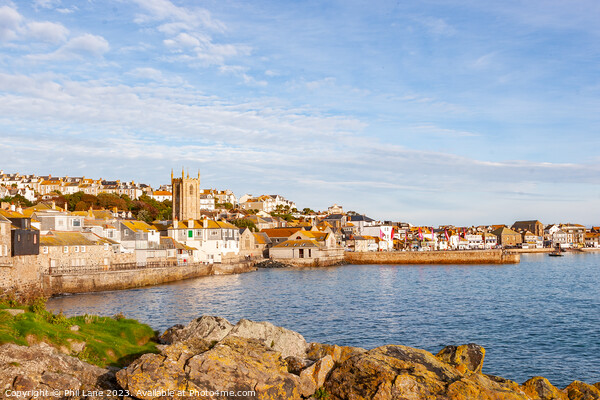 The town and harbour at St Ives, Cornwall, UK Picture Board by Phil Lane