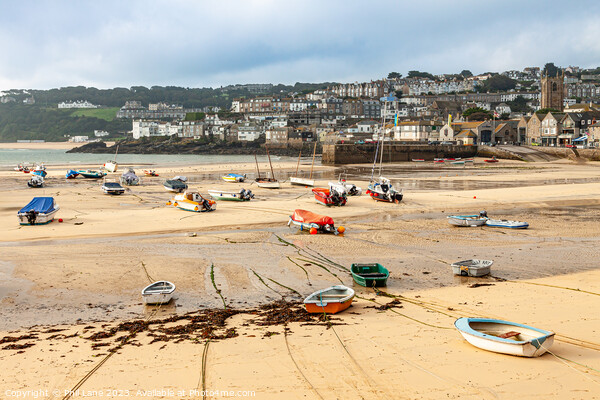 St Ives Harbour Picture Board by Phil Lane