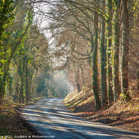 Buy canvas prints of Country Road by Phil Lane