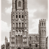 Buy canvas prints of Ely Cathedral, Cambridgeshire, England, UK by Phil Lane