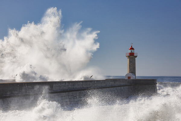 Storm waves over the Lighthouse Picture Board by Olga Peddi