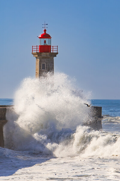 Storm waves over the Lighthouse Picture Board by Olga Peddi