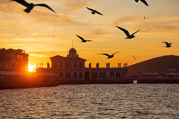 Beautiful sunset on the Princes' Islands. Turkey,  Picture Board by Olga Peddi