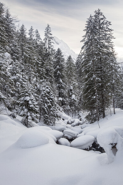 Snow Picturesque Scene in Winter Picture Board by Olga Peddi