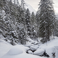 Buy canvas prints of Snow Picturesque Scene in Winter by Olga Peddi