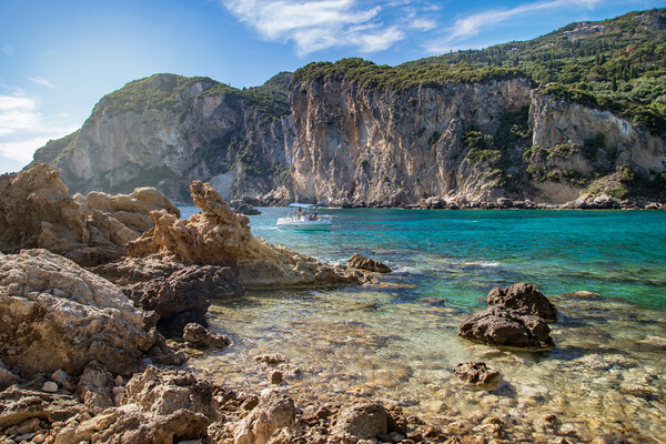 Paleokastritsa bay on Corfu - Greece Picture Board by Olga Peddi