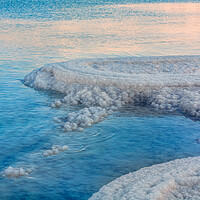 Buy canvas prints of Salt deposits, typical landscape of the Dead Sea,  by Olga Peddi