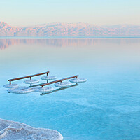 Buy canvas prints of Salt deposits, typical landscape of the Dead Sea,  by Olga Peddi