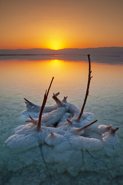 Sunrise and Dawn of the Dead Sea Picture Board by Olga Peddi