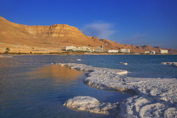 Salt deposits, typical landscape of the Dead Sea. Picture Board by Olga Peddi